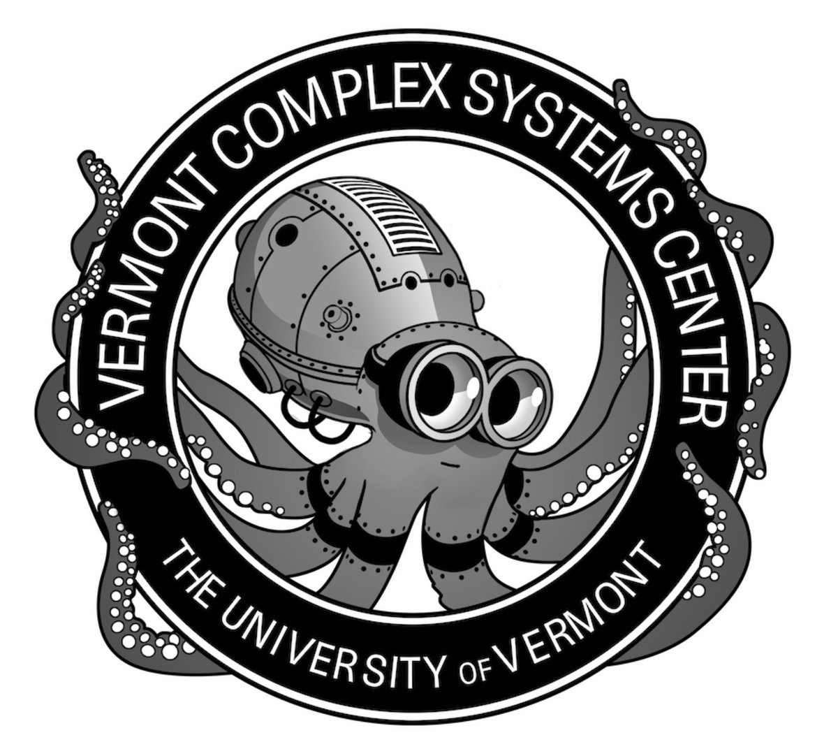 Vermont Complex Systems Institute